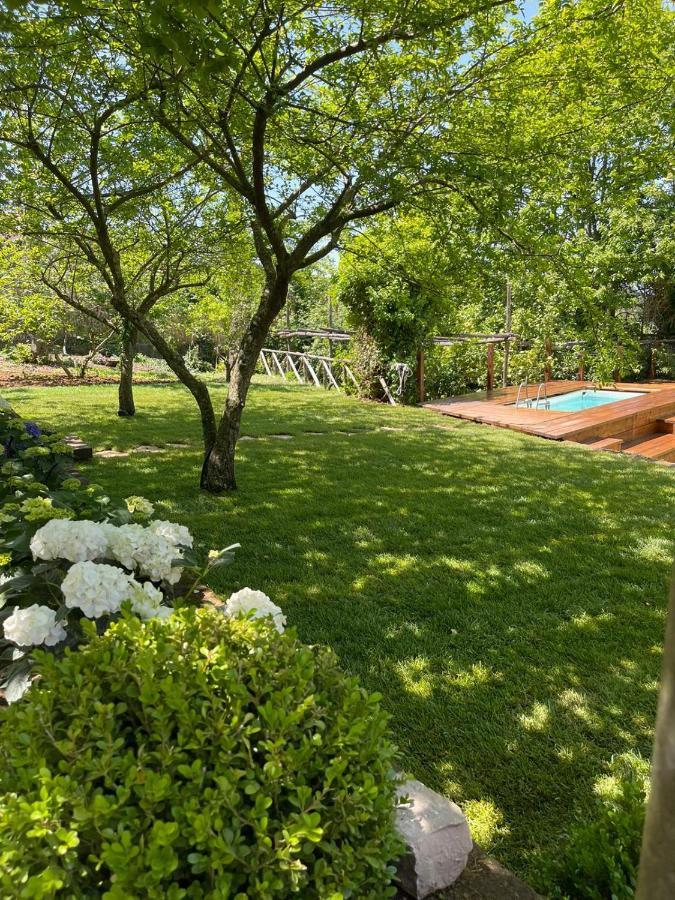 Villa Spartano Sant'Agata Sui Due Golfi Massalubrense Massa Lubrense Buitenkant foto